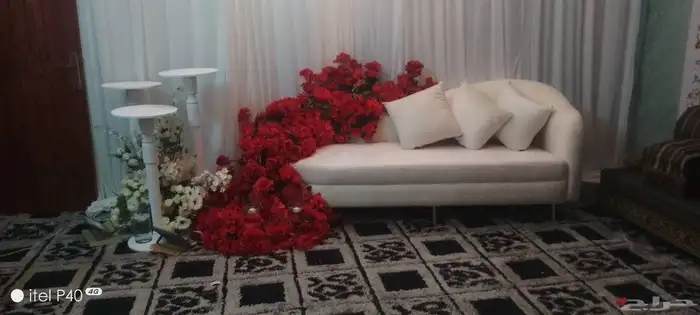 كوشات الطائف 2