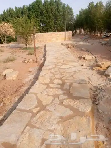 عبدالله احمد 6