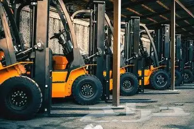 رافعات شوكية 0
