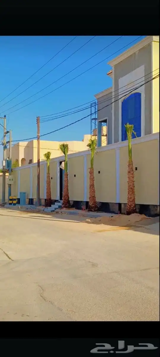 يوجد لدينا جميع انواع النخيل المثمره وازينه والمقاسات 8