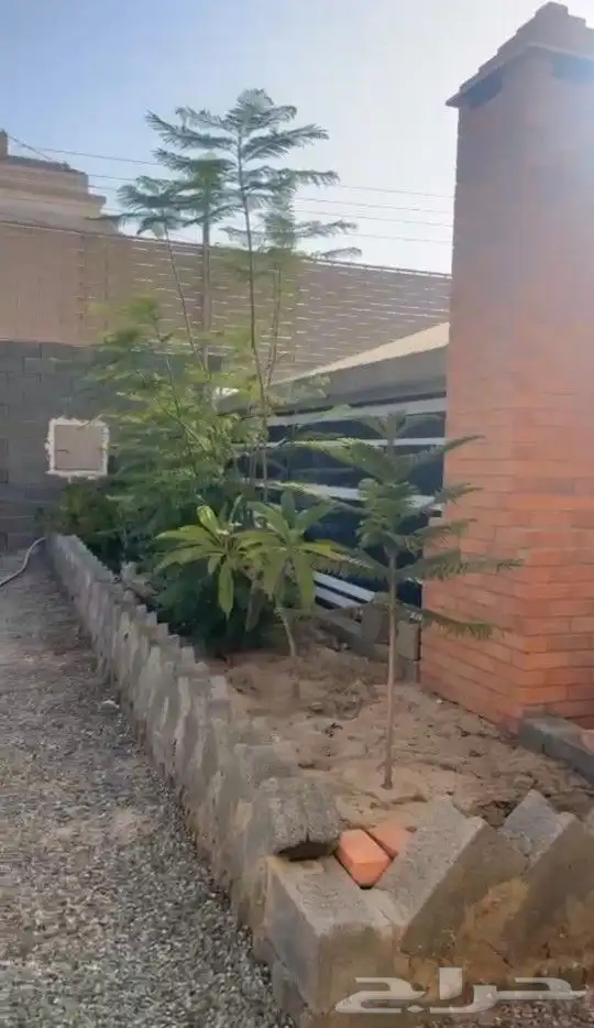 استراحة وبيت للبيع بالعقيق بالباحة 4