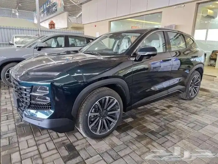 جيتور داشينج 2024 5