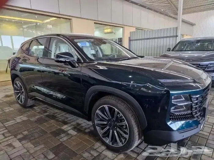 جيتور داشينج 2024 3