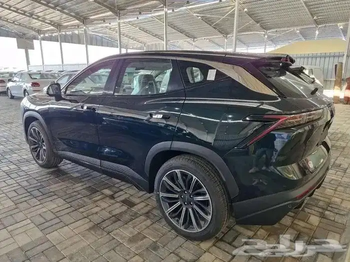 جيتور داشينج 2024 2