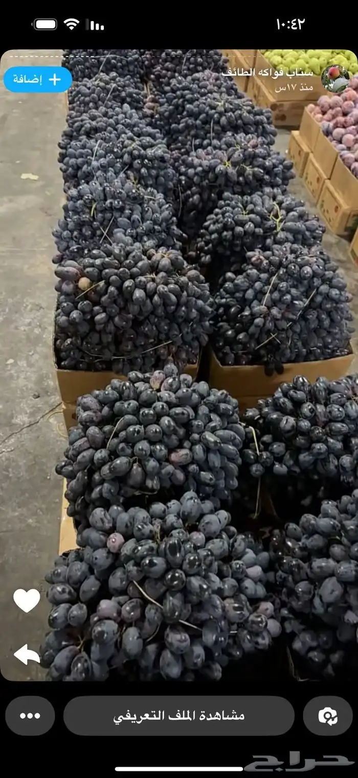 متوفره جميع فواكه الطائف مع توصيل مجاني للمنزل 3