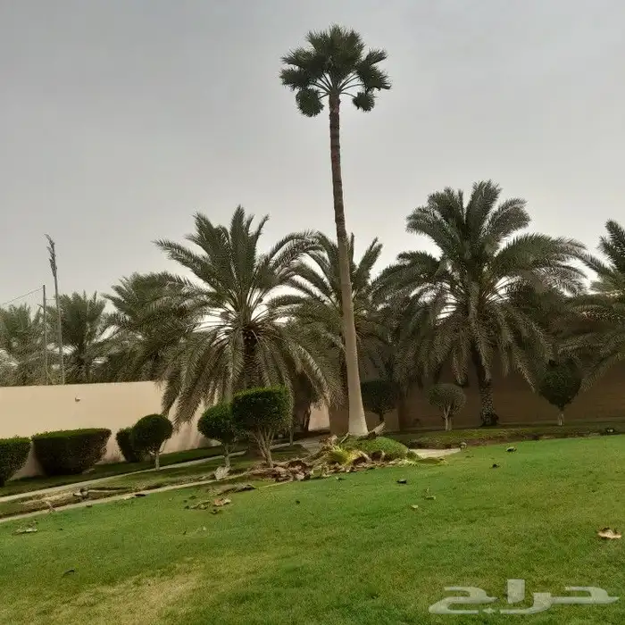 بسمله الله الرحمن الرحيم 0