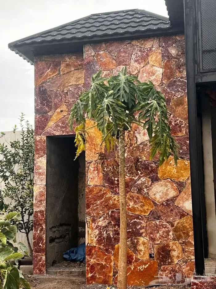 حجر طبيعي بجميع انواعها 0