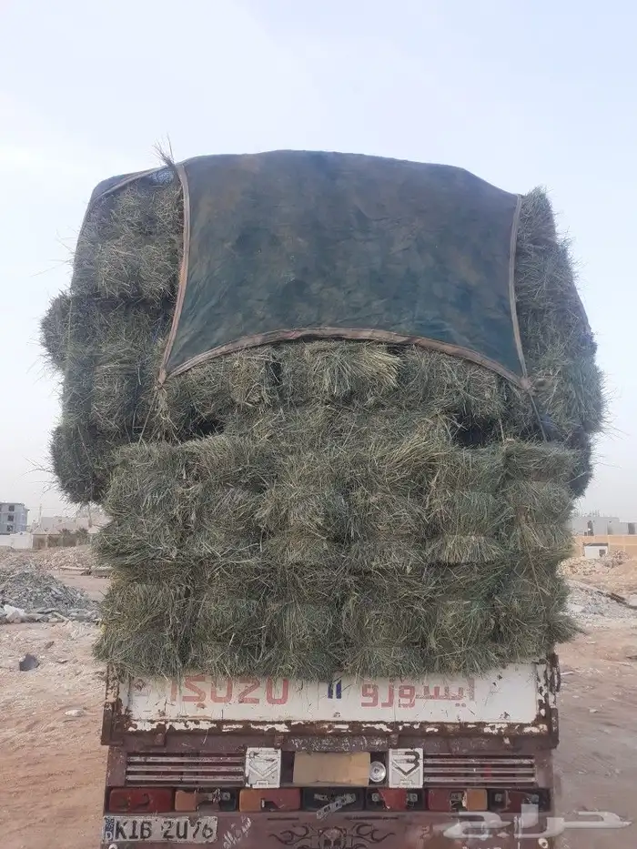 للبيع الاعلاف 3