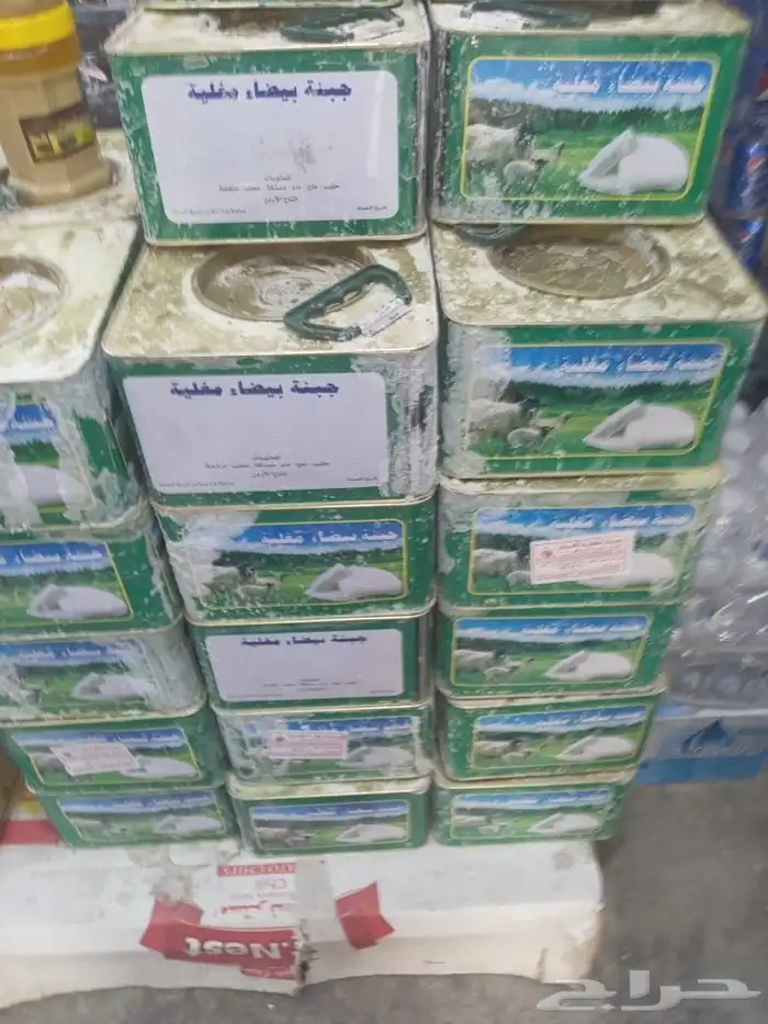 جبنه عرب مقليه 8