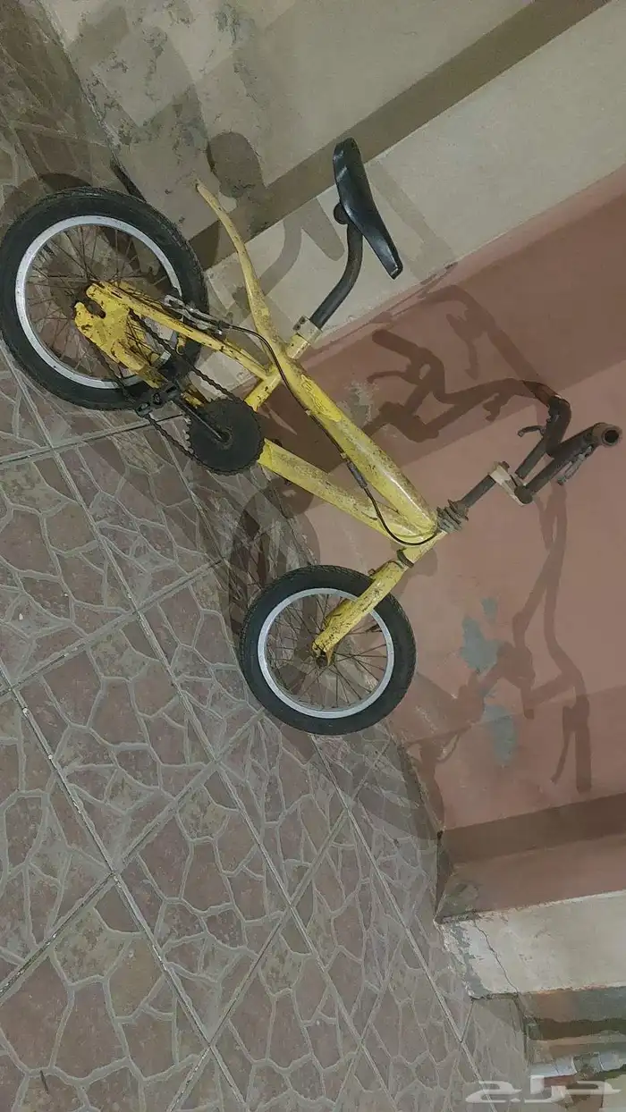 سكيل كوبرا مقاس 14 0