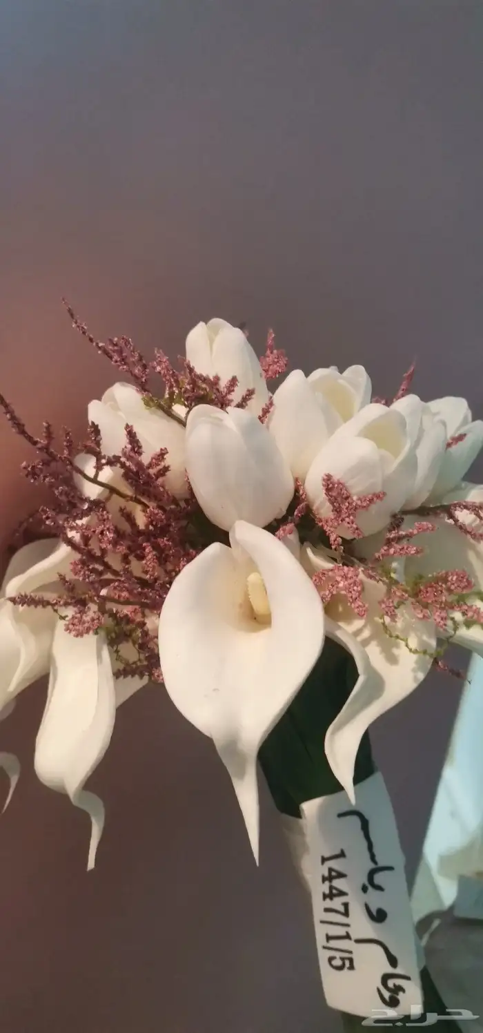 كوش مسكة أفراح للايجار 4