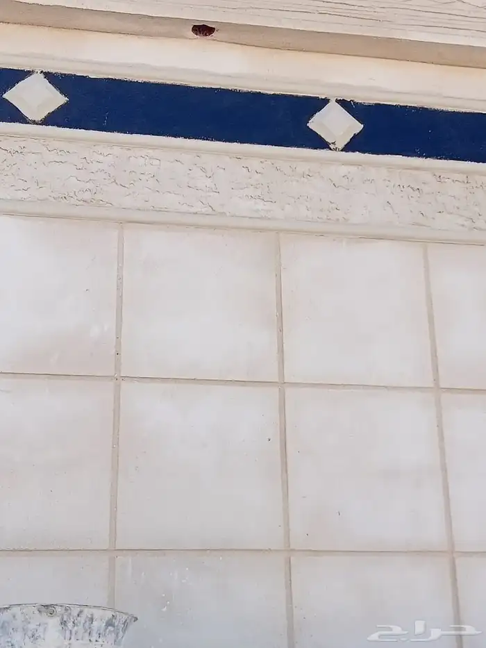 ليسه ملون اسود 0