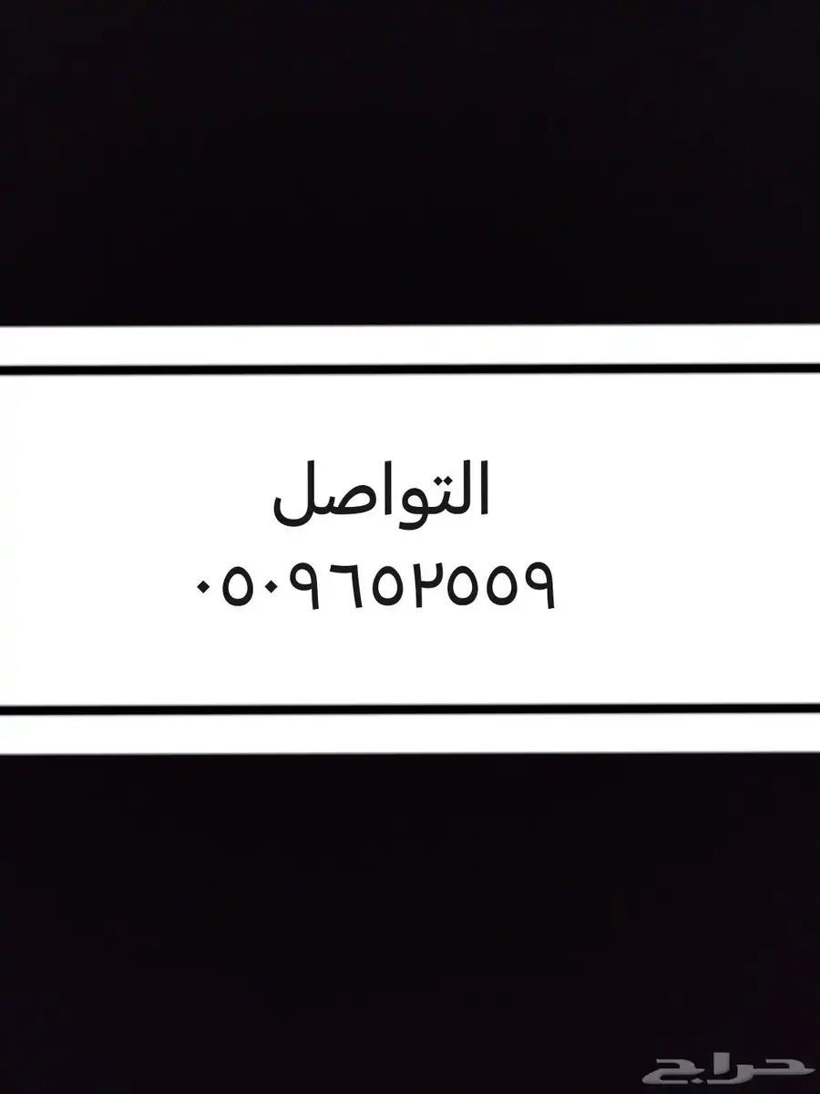 دربيل الصقر الألماني و كشاف 6