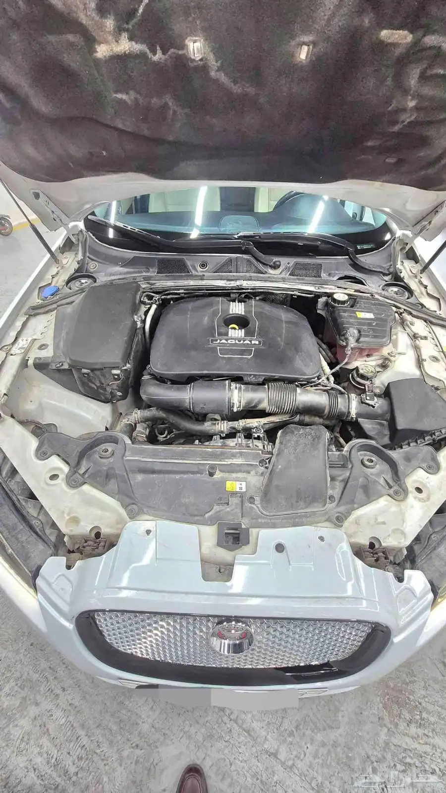 جاكوار XF 2015 11