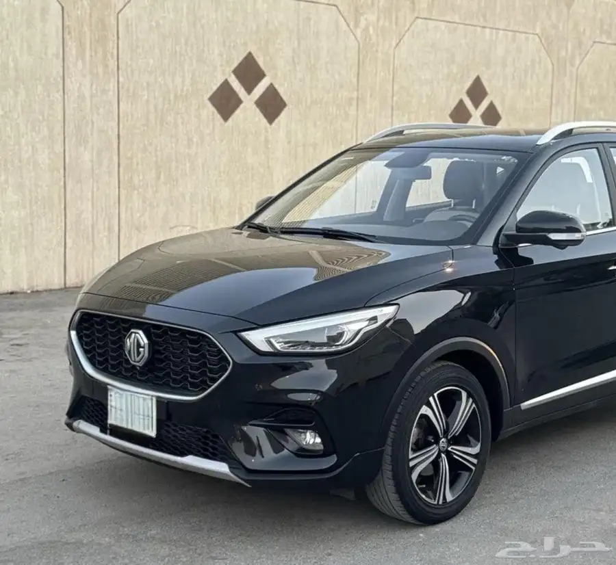 MGzs2021 1