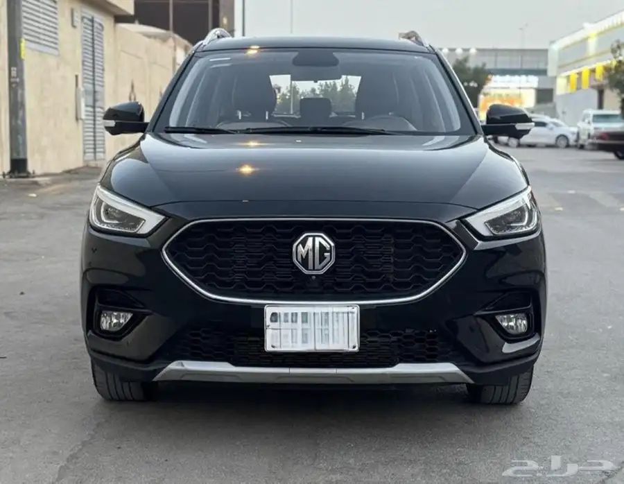 MGzs2021 2