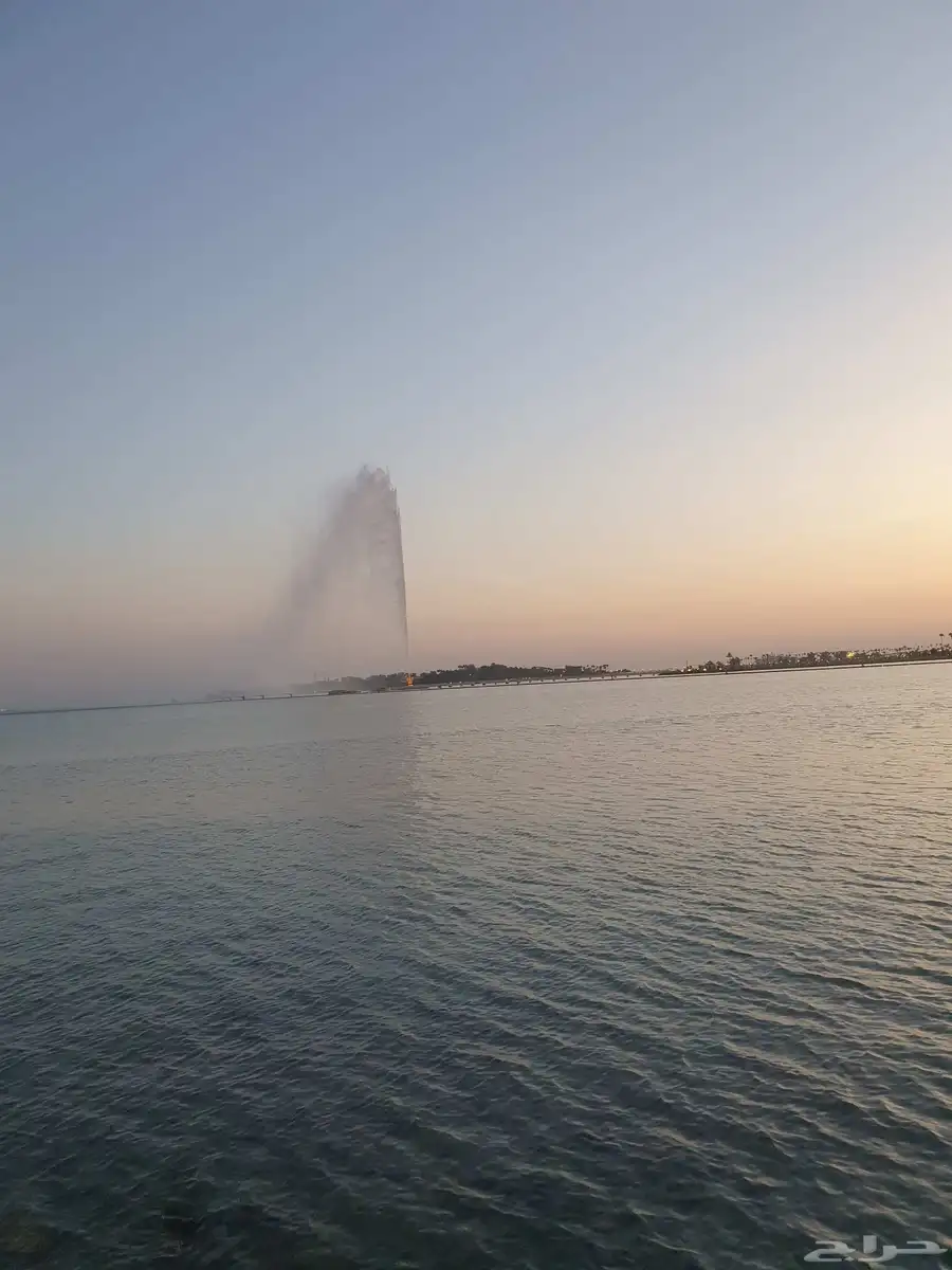 V W للبيع 9