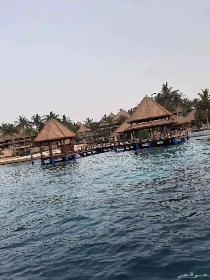 جدة رحلات نزهة داخل شرم أبحر 3