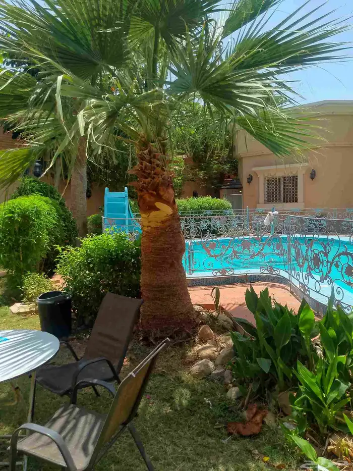تكريب نخيل وواشنطونيا وتجهيز احواض زراعية وقطع اشجار 3