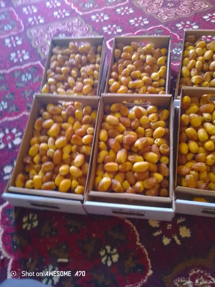 لبيع رطب من مزارع 0