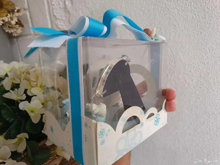 توزيعات مواليد باتشي 2