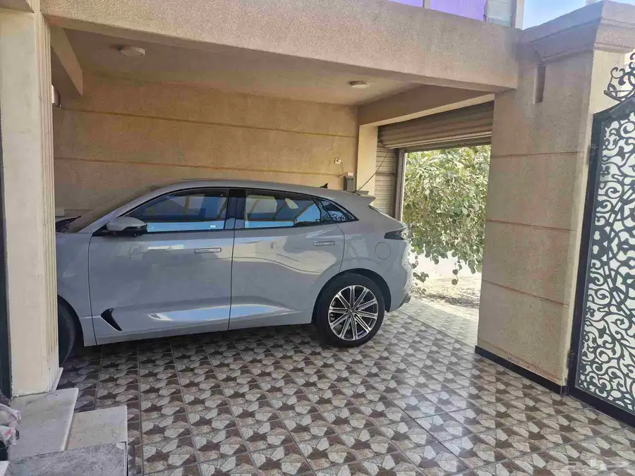 بيع شنانجان يو ني كي 2023 قمه في النطافه 8