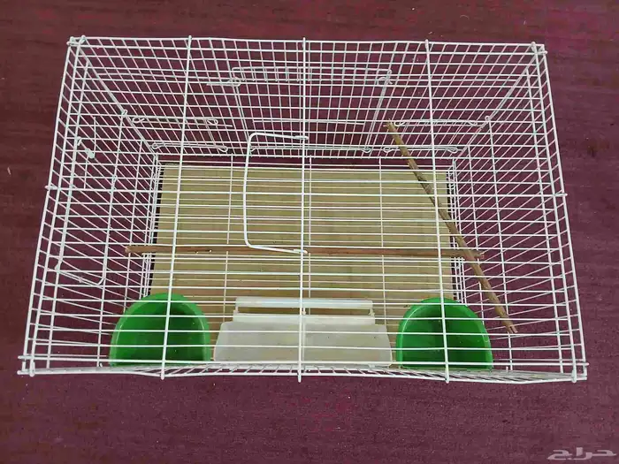 قفص الببغاء 1