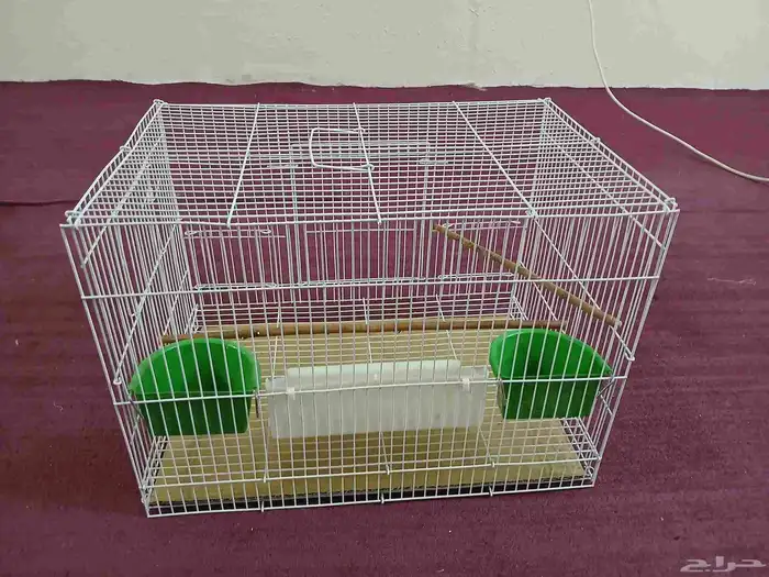 قفص الببغاء 0