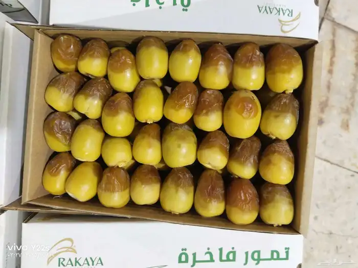 خلاص الخرج نبوت سلطان دخيني درجة شيشي اولى الموقع الرياض 2