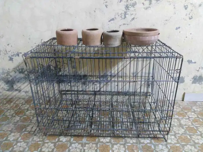 قفص طيور مع ثلاثه شرابات مياه فخار واثنين صحون فخار 1