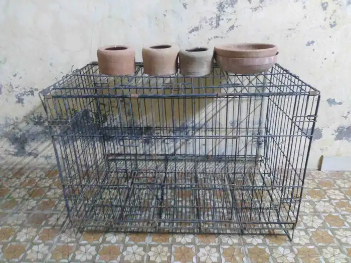 قفص طيور مع ثلاثه شرابات مياه فخار واثنين صحون فخار 0