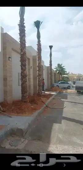 مقالات شبوك ونخل 4