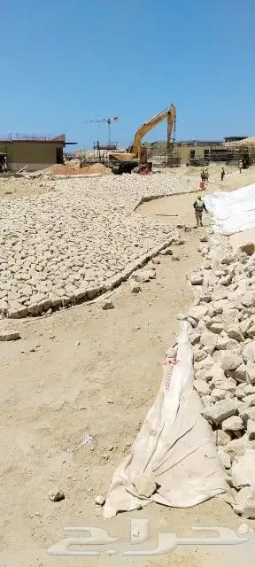 مقالات شبوك ونخل 1