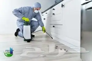 شركة رش مبيدات مكافحة حشرات صراصير رش مبيد نمل فأران و زغ 1