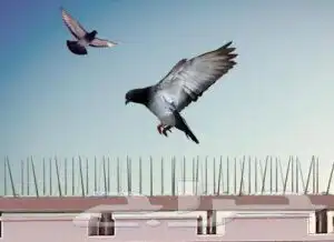 طارد الحمام الطيور شوك شبابىك 2
