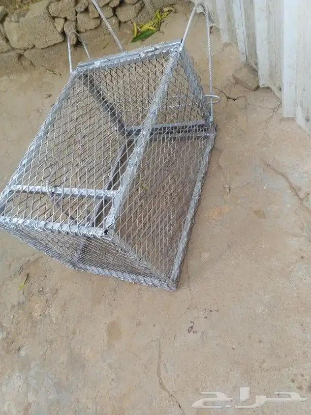 مصيدت قطاط ثعلب 3