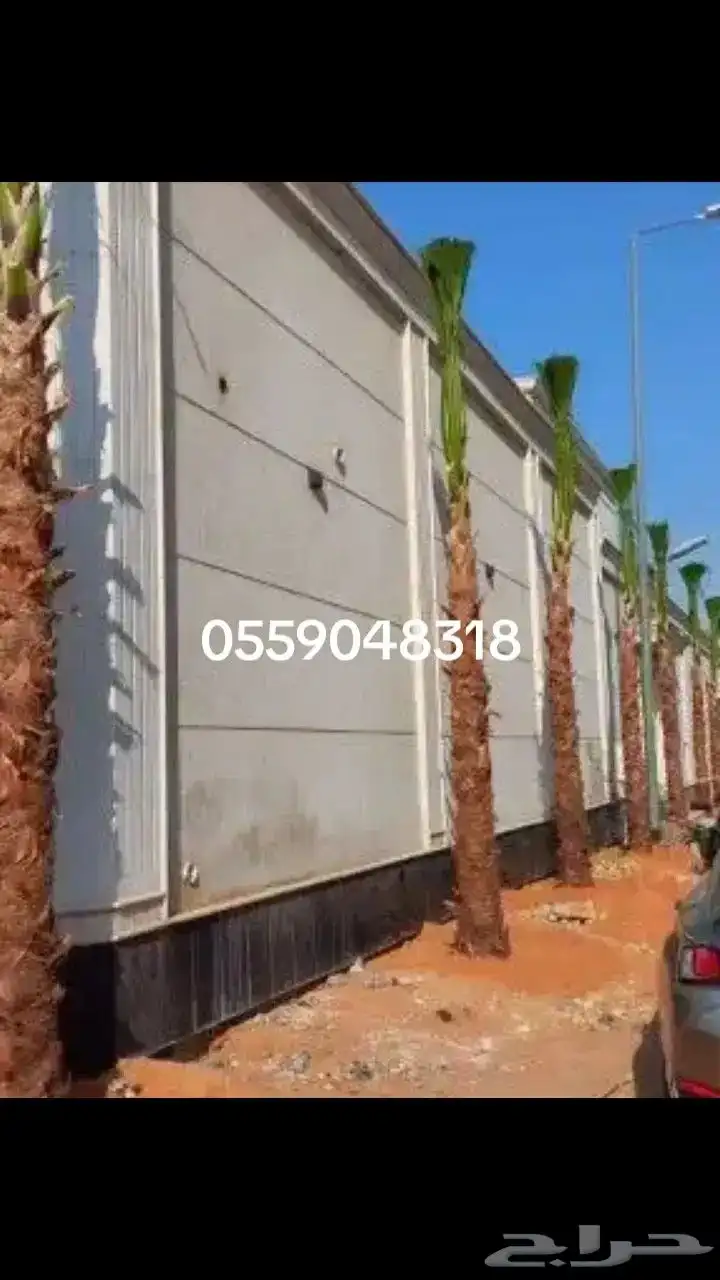 يوجد لدينا قسم خاص لنخيل العربي والواشنطني 2