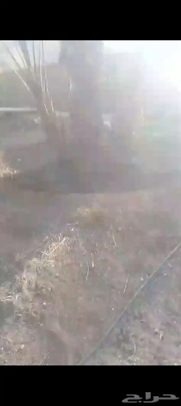يوجدلدينافسايل إخلاص وبرحي 1