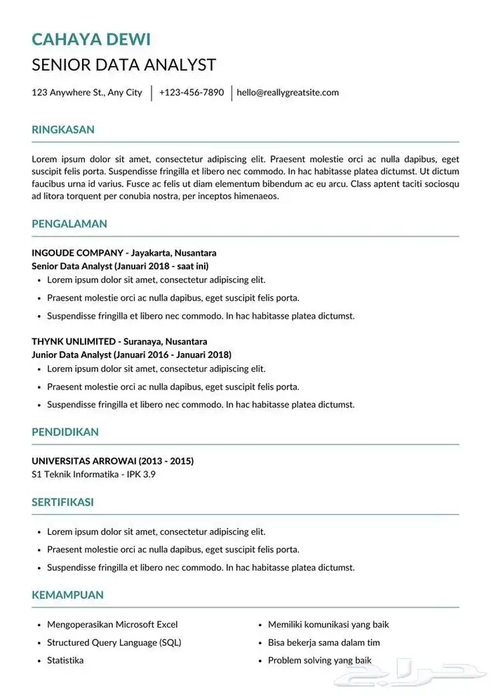 cv احترافي خبرة فالمجال لاكثر من سنتين 2