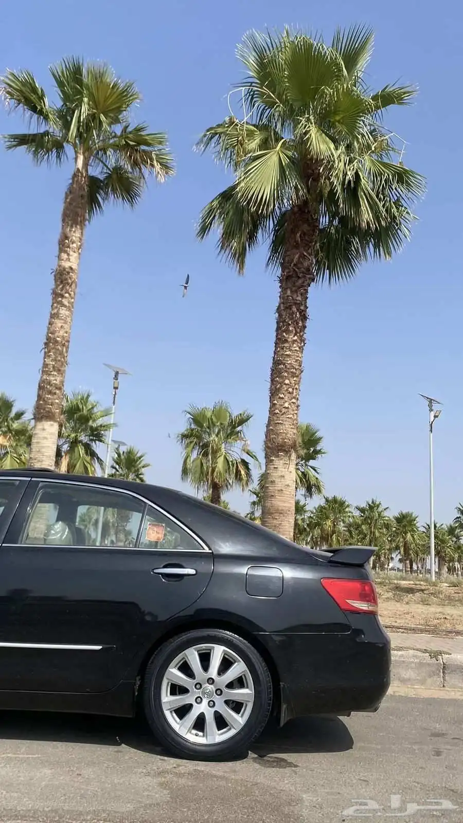 اوريون 1