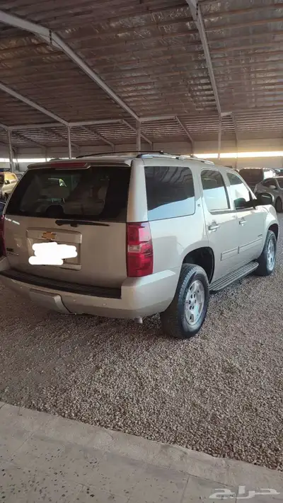 تاهو 2014 3