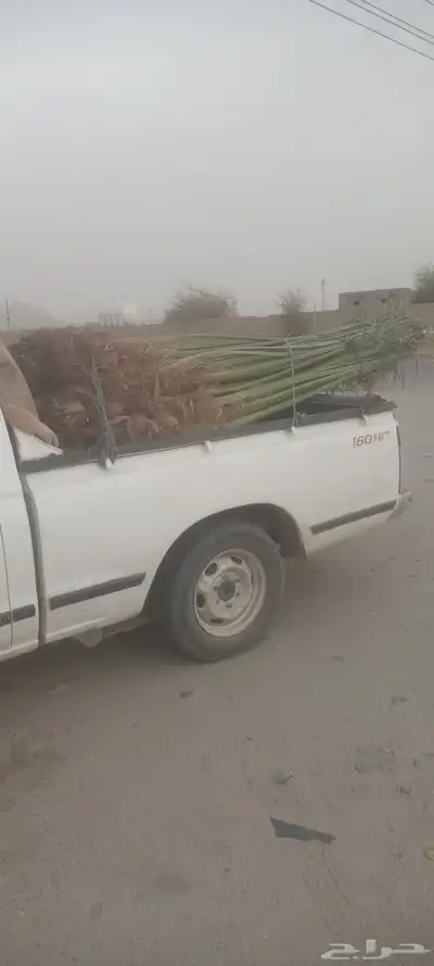 يوجد لدينا جميع انواع انخيل 2