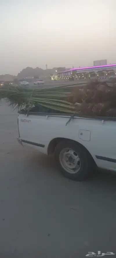 يوجد لدينا جميع انواع انخيل 3