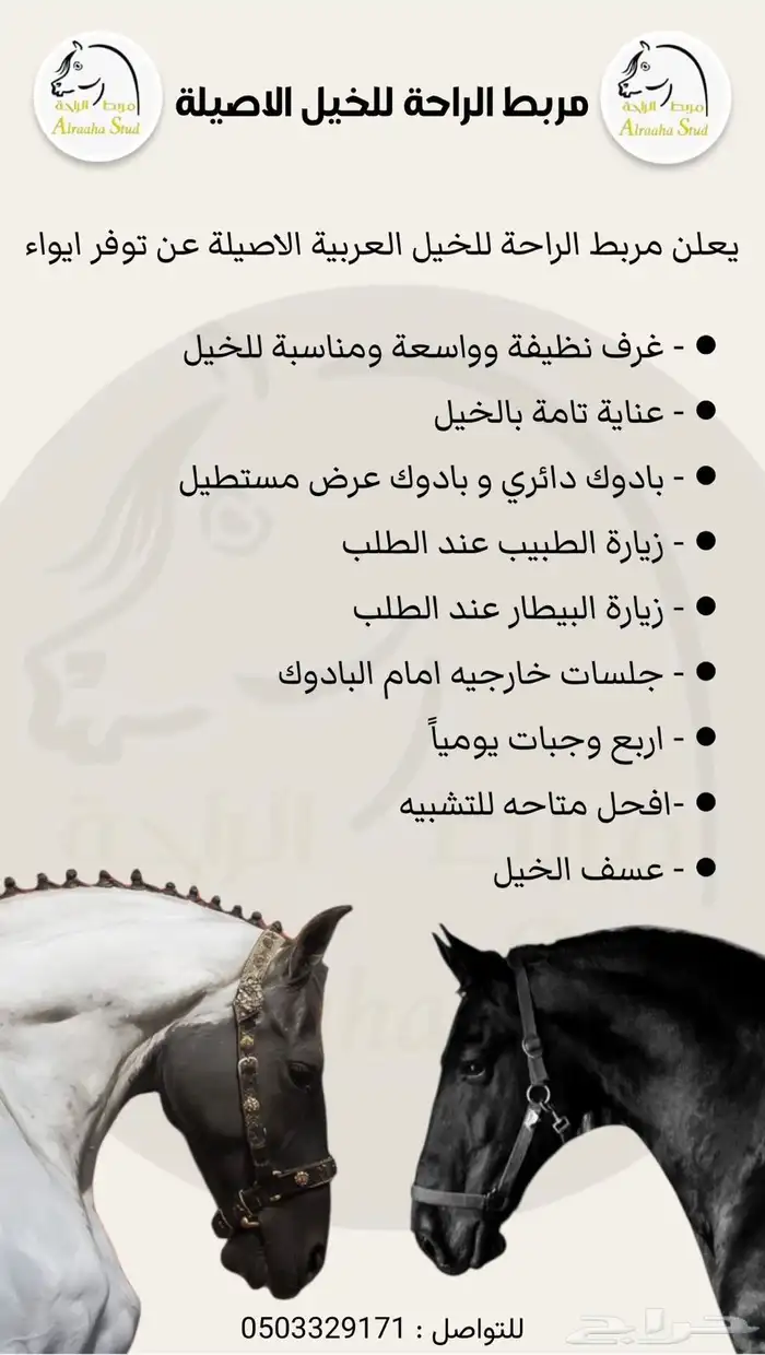 مربط الراحة لايواء الخيل 34