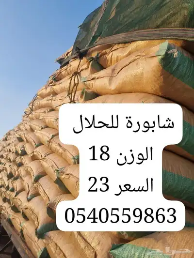 خبز ناشف و شابورة للحلال 0