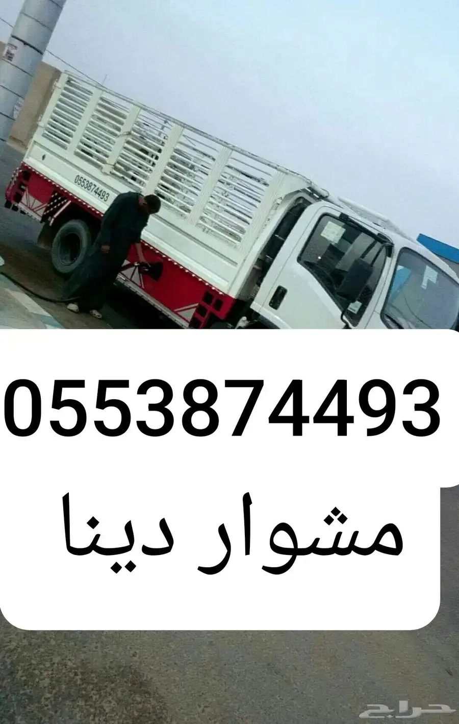 مشهورا دينا الزلفي 2014 0