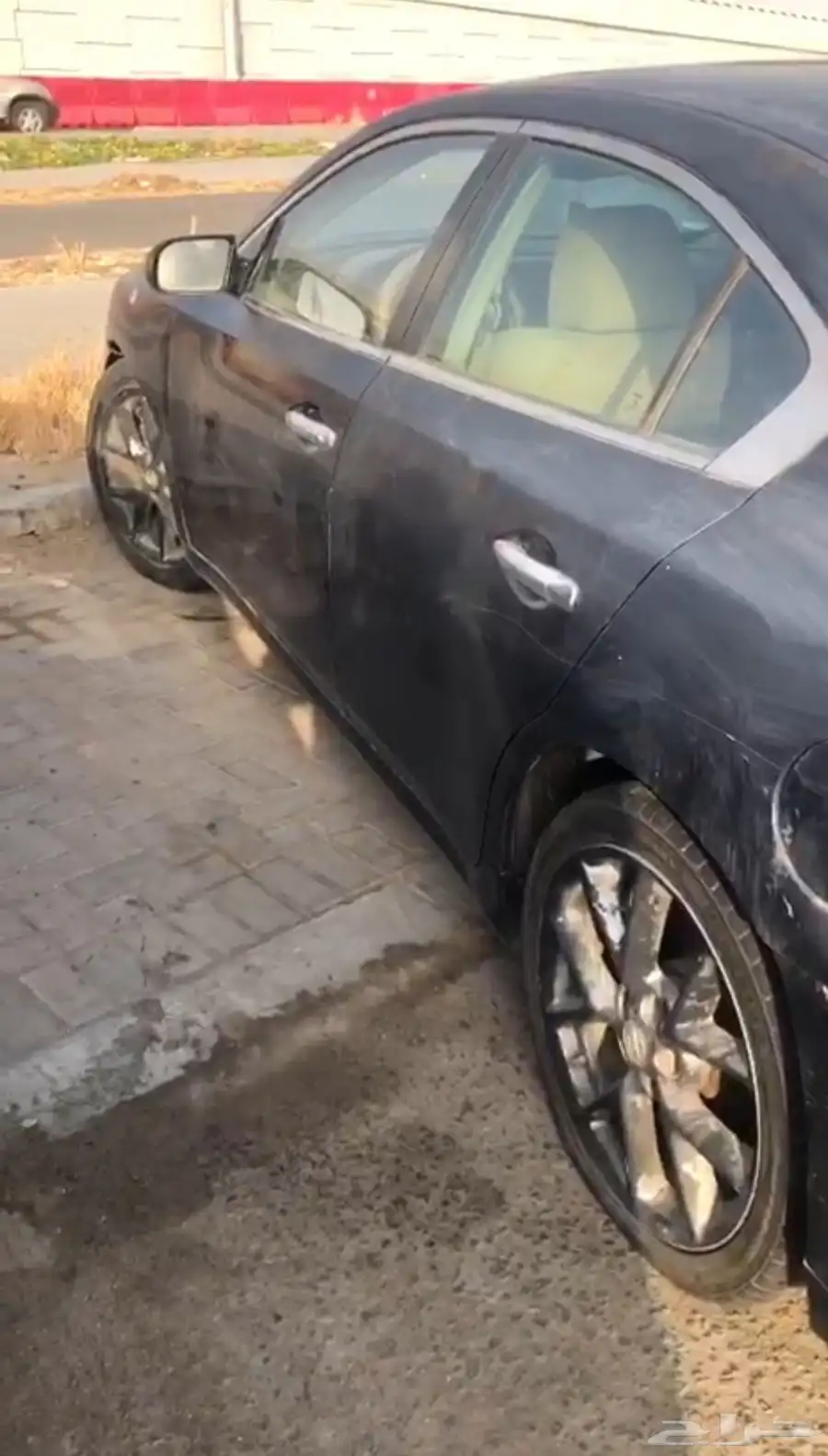 مكسيما 2010 للبيع 3