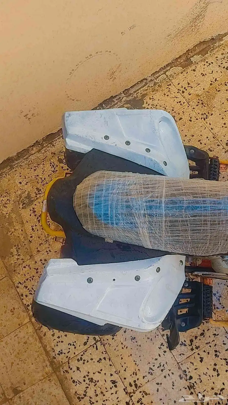 دباب فراشة تم البيع تم البيع 5