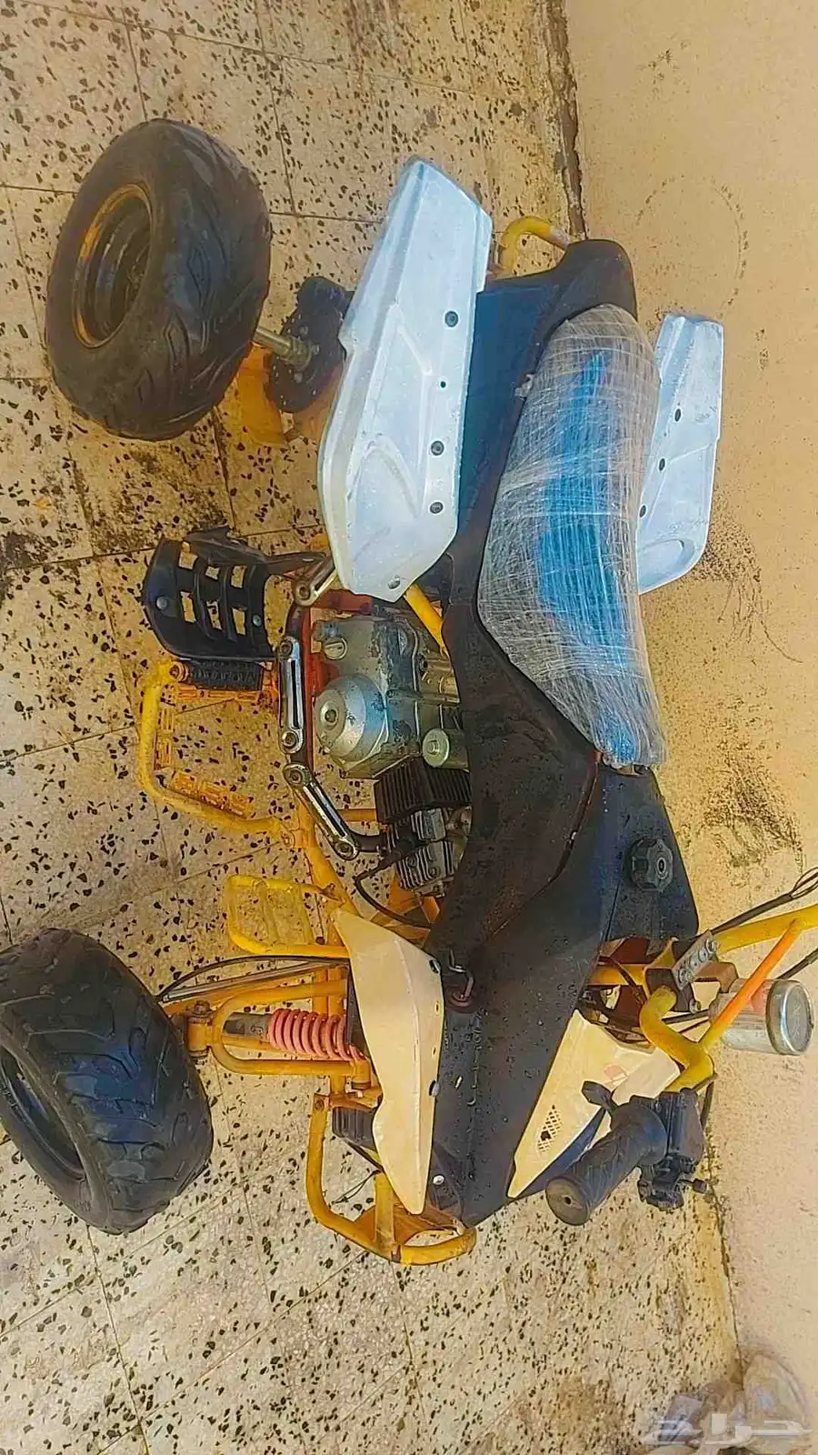 دباب فراشة تم البيع تم البيع 2
