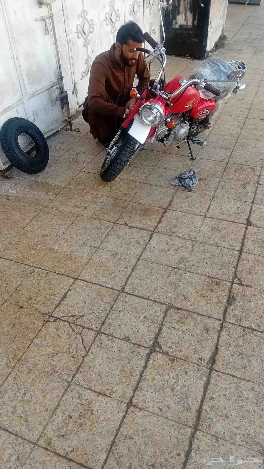 دباب جحش 50 20